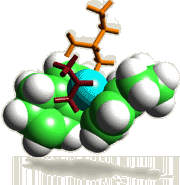 EIN METALLOCEN-KATALYSATOR wie er bei der Polymerisation von Polypropylen (PP) verwendet wird